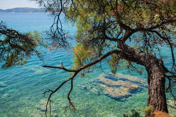 Panoramatický Výhled Letní Přírodní Krajinu Tyrkysovou Barvu Moře Krásné Čisté — Stock fotografie