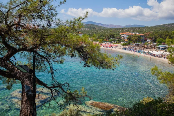 Yaz mevsiminin panoramik manzarası, deniz manzarası turkuaz rengi, ve güzel ve temiz Ege denizi. Sahili çevreleyen çam ağaçları. Tatil seyahati konsepti. Rocky kıyı şeridi.