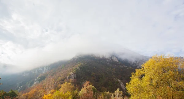 Niesamowity Widok Mgliste Szczyty Gór Sezonie Jesiennym Rano Piękna Przyroda — Zdjęcie stockowe