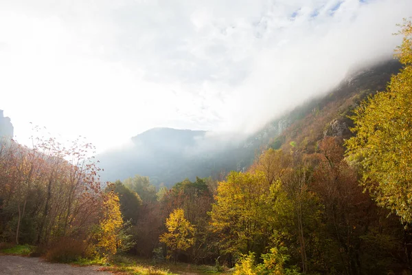 가을에는 안개낀 산봉우리들 아침에는 놀라울 정도로 보입니다 아름다운 안개낀 — 스톡 사진