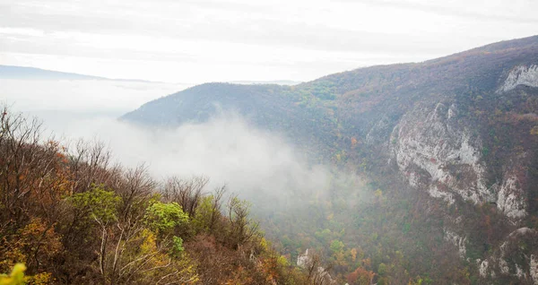 朝の秋のシーズンに霧の山のピークの素晴らしい景色 美しい自然 秋霧の風景 — ストック写真