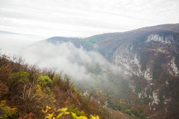 朝の秋のシーズンに霧の山のピークの素晴らしい景色 美しい自然 秋霧の風景 — ストック写真