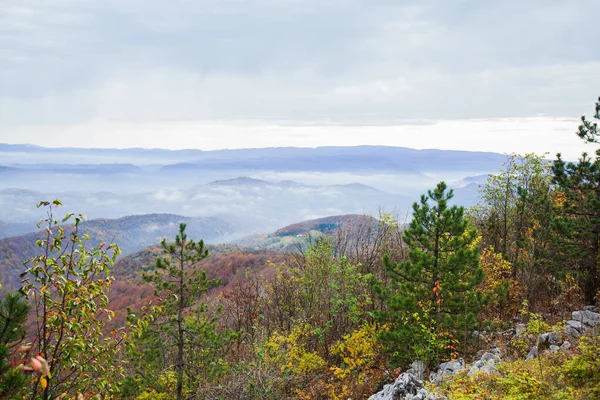 晴れた秋の日に霧と山の風景の美しい景色 曇った空 絵のような景色 セルビア ヨーロッパ — ストック写真