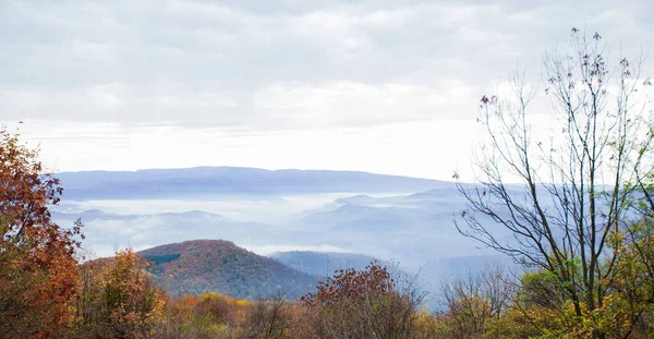 가을에는 안개낀 산봉우리들 아침에는 놀라울 정도로 보입니다 아름다운 안개낀 — 스톡 사진