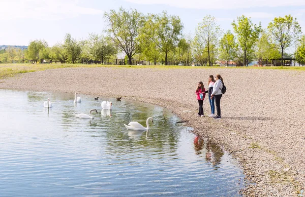 一家人在湖岸上悠闲自在 欣赏平静的湖面上的美丽天空 天鹅在水面上滑行 — 图库照片
