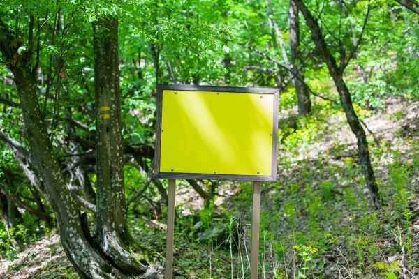 Segnaletica Gialla Informativa Vuota Mezzo Lussureggiante Fogliame Verde Sentiero Escursionistico — Foto Stock