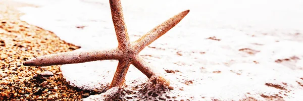 Vacanze Estive Starfish Sulla Spiaggia Sabbiosa Tramonto Concetto Viaggio — Foto Stock