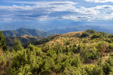Yaz doğa dağları manzarası. Yeşil tepelerin ve tarlaların manzarası. Bulutlu güzel mavi gökyüzü. Kopaonik Dağı, Sırbistan ve Avrupa 'nın panoramik manzarası.