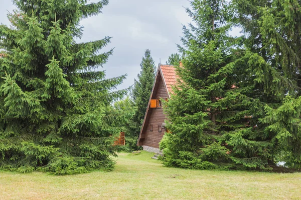 夏の朝に山に松の木に囲まれた木製のキャビン — ストック写真