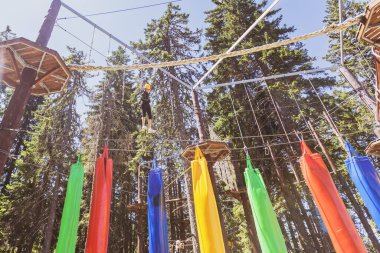 Bir yaz kampı sırasında, gür bir ormanın göbeğindeki heyecan verici ağaç tepesi macera parkında korkusuz genç kız..