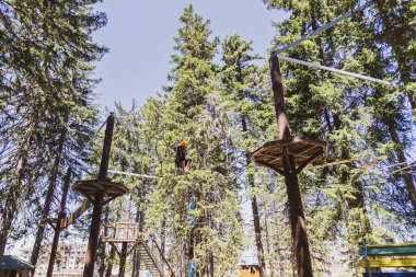 Bir yaz kampı sırasında, gür bir ormanın göbeğindeki heyecan verici ağaç tepesi macera parkında korkusuz genç kız..