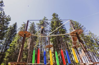 Bir yaz kampı sırasında, gür bir ormanın göbeğindeki heyecan verici ağaç tepesi macera parkında korkusuz genç kız..