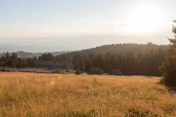 Breathtaking sunset view in a beautiful, tranquil field.
