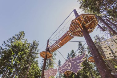 Bir yaz kampı sırasında, gür bir ormanın göbeğindeki heyecan verici ağaç tepesi macera parkında korkusuz genç kız..