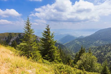 Resmedilmeye değer doğal çam ormanı arka planda tepeler ve dağlar barındırır. Bu da onu açık hava maceraları ve keşifleri için mükemmel bir zemin yapar..