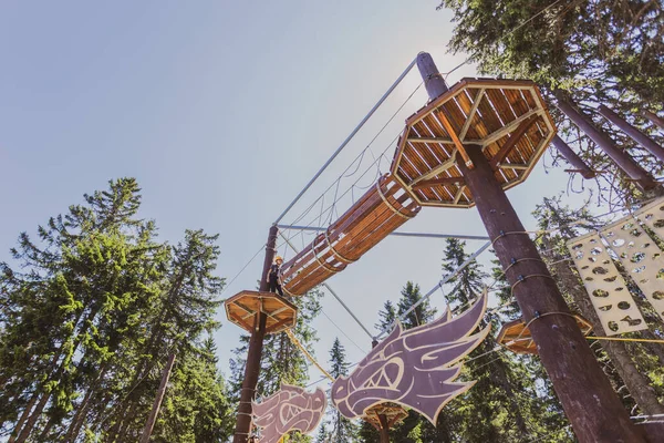 Bir yaz kampı sırasında, gür bir ormanın göbeğindeki heyecan verici ağaç tepesi macera parkında korkusuz genç kız..