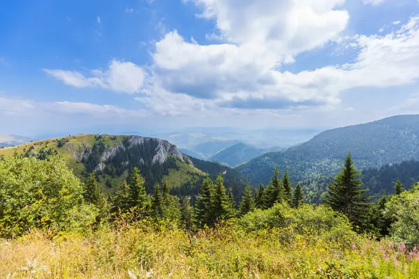 平和な山の夏の風景 雲のある緑豊かな森と青空 ストック写真