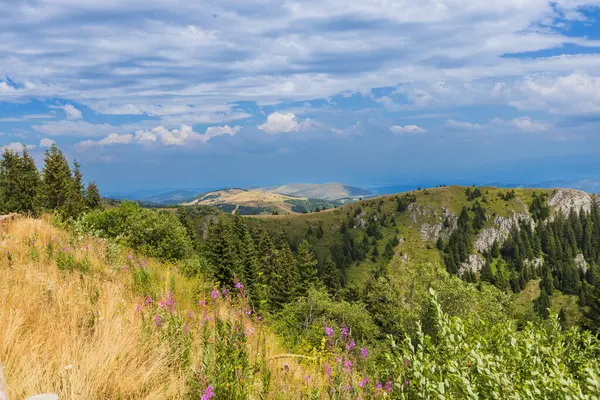 平和な山の夏の風景 雲のある緑豊かな森と青空 ストック画像