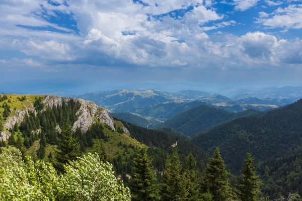 平和な山の夏の風景 雲のある緑豊かな森と青空 ロイヤリティフリーのストック画像