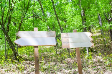 Boş işaret direği olan yeşil orman, macera ve yürüyüş motivasyonu..