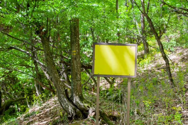 Green forest with empty directional sign post, motivating adventure and hiking.