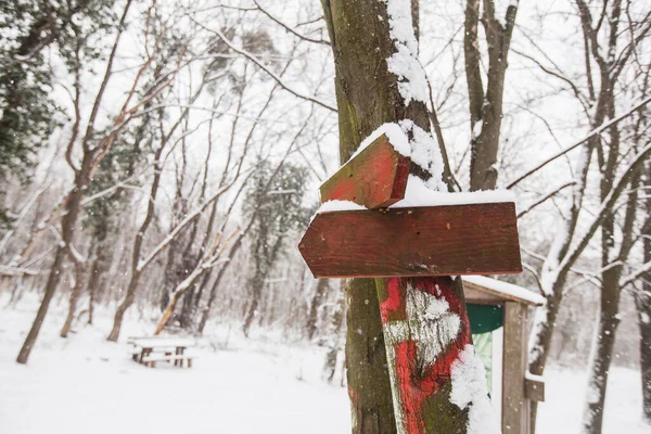 冬日的雪天 一个用于远足的木制标志 免版税图库图片