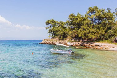 Bot yemyeşil bir çam ormanına kenetlenmiş el değmemiş kıyı manzarası..