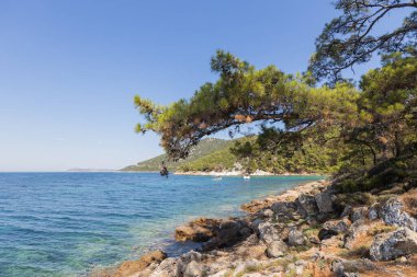 Çam ağaçları ve berrak mavi sularla çevrili kayalık kıyılarda tekneler.