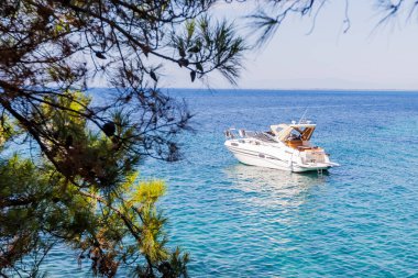Ön planda Çam Ağacı dallarıyla Sakin Deniz 'de Yüzen Yat