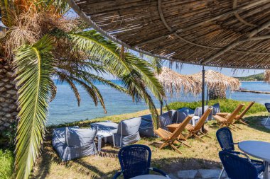 Güneşli bir günde sahil kenarında palmiye ağaçları ve kumsalda oturma yeri olan bir yer.