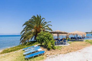 Denize bakan saman şemsiyeli Palm Trees 'in altında Tropikal Plaj kenarı koltukları