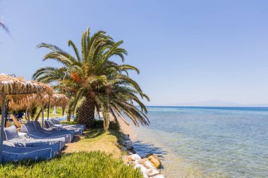 Yüksek bir palmiye ağacının altında uzanan güneşli plaj sahnesi, kristal berrak denize bakıyor..