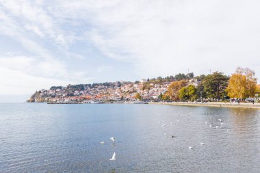 Ohri Gölü Kıyısı Boyunca Uçuştaki Martılar Arkaplanda Canlı Townscape