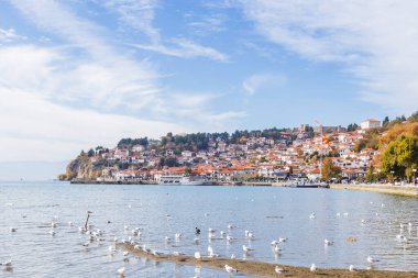 Ohri Gölü Kıyısı Boyunca Uçuştaki Martılar Arkaplanda Canlı Townscape