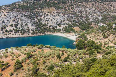 Yunanistan 'ın Thassos kentindeki Lush Hills ile çevrili gözlerden uzak Zümrüt Koyu