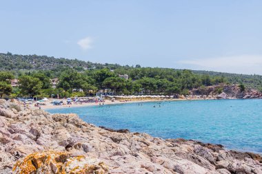 Turistler ve Çam Ormanı Arkaplanlı Sunny Beach Koyu