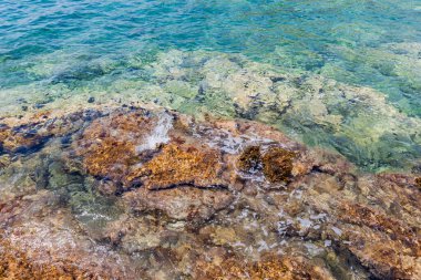 Yüzeyin altında rengarenk kayaları ve dokuları ortaya çıkaran berrak ve sığ sular..