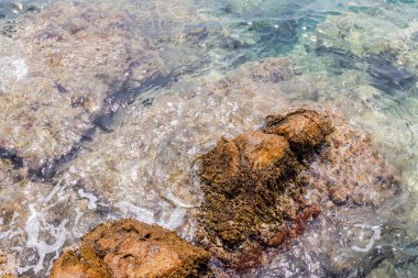 Yüzeyin altında rengarenk kayaları ve dokuları ortaya çıkaran berrak ve sığ sular..