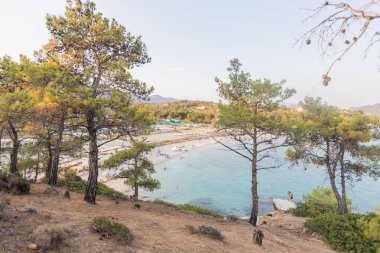 Yunanistan 'ın Thassos kentindeki Güzel Bir Sahile Bakan Çam Ormanının Hava Manzarası
