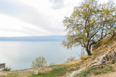 Sakin göl manzarasında kayalık yamaçtaki bir ağaç, sakin sular ve parçalı bulutlu bir gökyüzünün altındaki uzak tepeler.