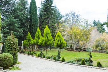 Uzun Evergreen Ağaçları ve Manikürlü Çalıları olan Huzur Bahçesi, Huzurlu Manzarası