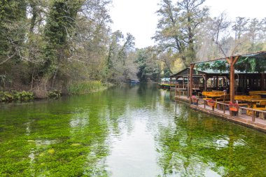 Berrak Yeşillik ve Temiz Suyu Olan Huzurlu Riverside Restoranı