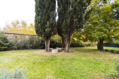 Çeşitli Ağaçlarla Serene Park Sahnesi, Düşen Yapraklar, Neat Hedges