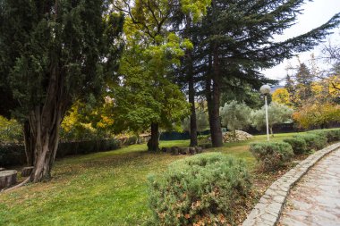 Çeşitli Ağaçlarla Serene Park Sahnesi, Düşen Yapraklar, Neat Hedges