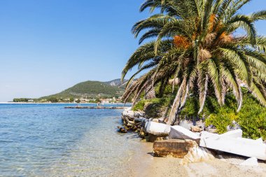 Bereketli palmiye ağaçları, yıpranmış kayalar ve köpüklü temiz su içeren Idyllic plaj manzarası. Bir kıyı kasabası ve dağlar parlak mavi gökyüzünün altında görülebilir, seyahat teması için mükemmel..