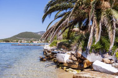 Bereketli palmiye ağaçları, yıpranmış kayalar ve köpüklü temiz su içeren Idyllic plaj manzarası. Bir kıyı kasabası ve dağlar parlak mavi gökyüzünün altında görülebilir, seyahat teması için mükemmel..