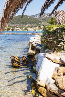 Tropik Plaj Sahnesi Palmiye Ağacı, Kayalar ve Temiz Su