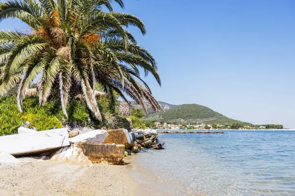 Bereketli palmiye ağaçları, yıpranmış kayalar ve köpüklü temiz su içeren Idyllic plaj manzarası. Bir kıyı kasabası ve dağlar parlak mavi gökyüzünün altında görülebilir, seyahat teması için mükemmel..