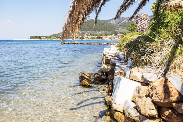 Tropik Plaj Sahnesi Palmiye Ağacı, Kayalar ve Temiz Su