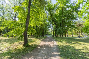 Huzurlu yürüyüş yolu, canlı yaz yeşillik parkında yavaşça kıvrılıyor. Olgun ağaçlarla çevrili, gölgeli gölgeler bırakıyor..
